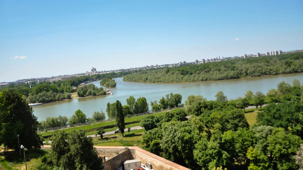 Dunarea si râul Sava