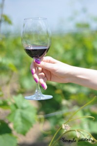 Pinot Noir