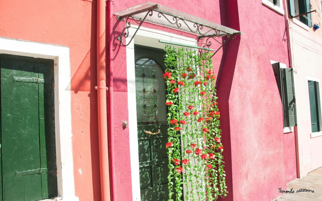 DSC_0765