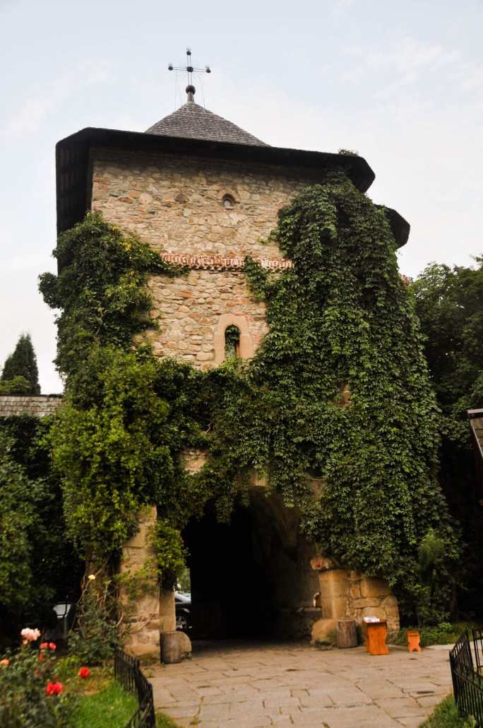 moldovitta