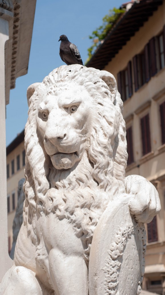 biserica santa croce2