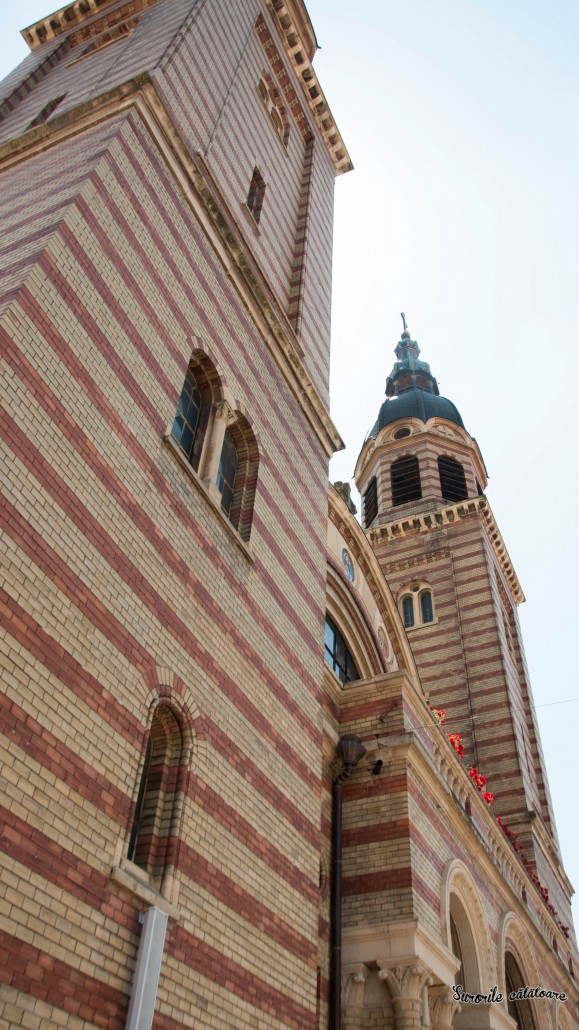 poza 12