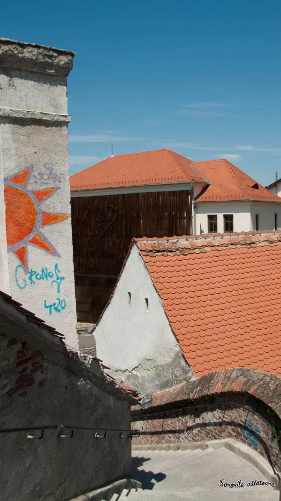 poza 14