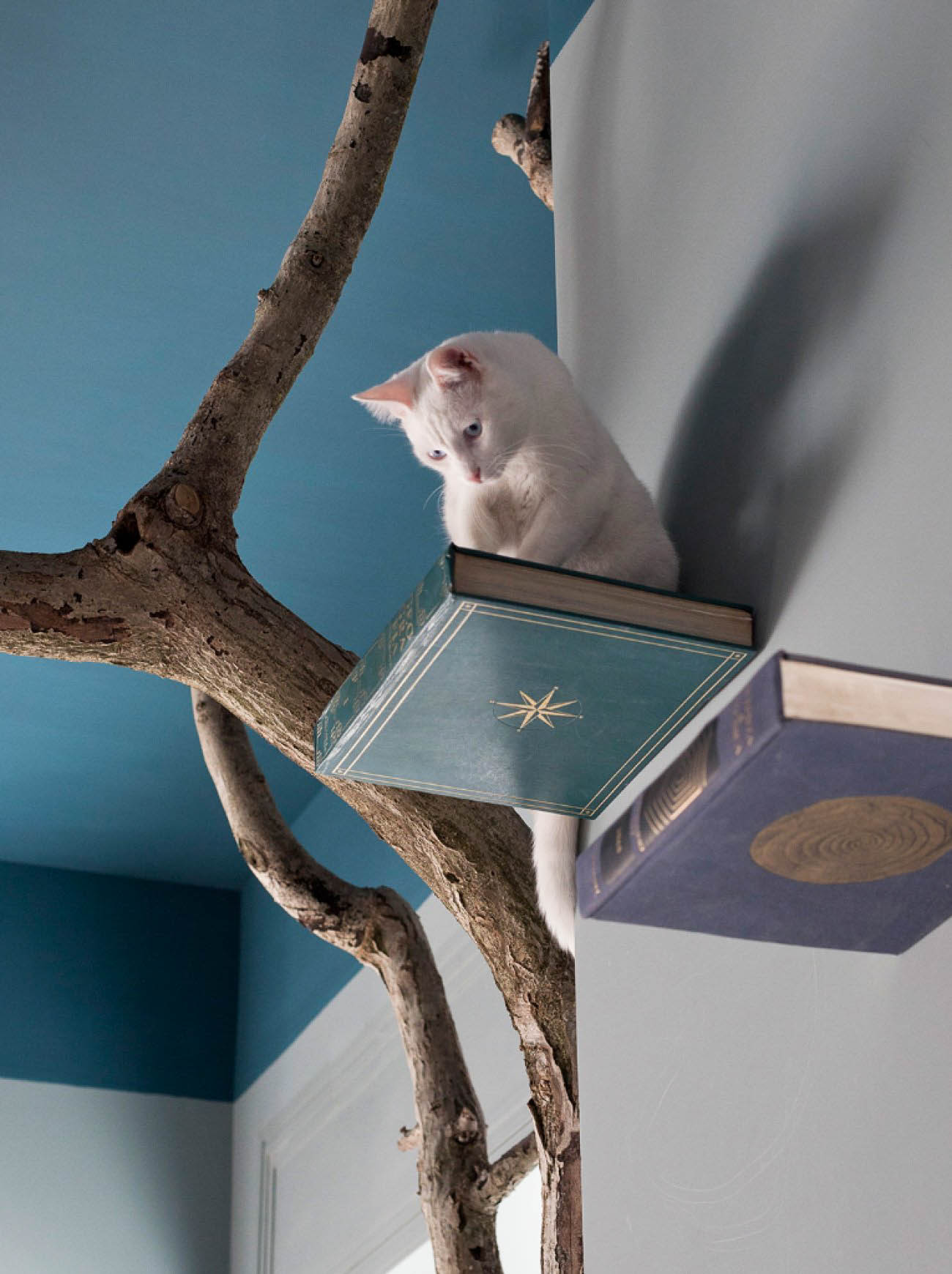 romeow official