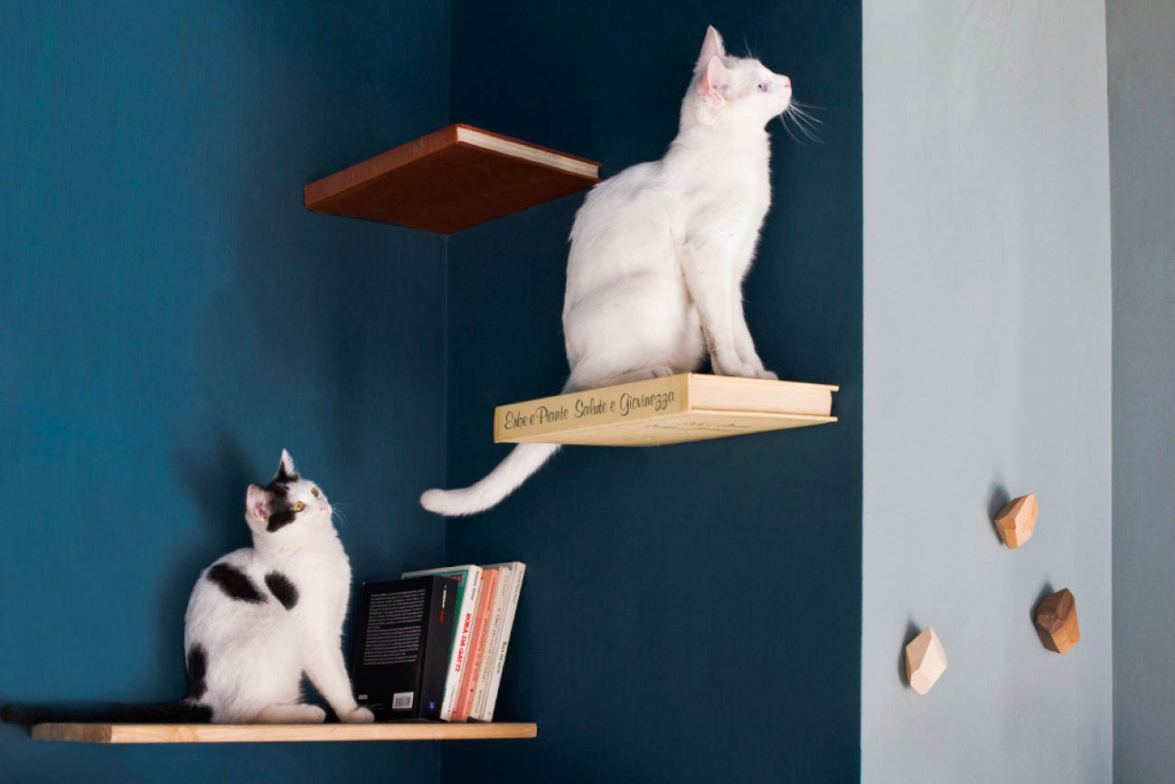 romeow official1