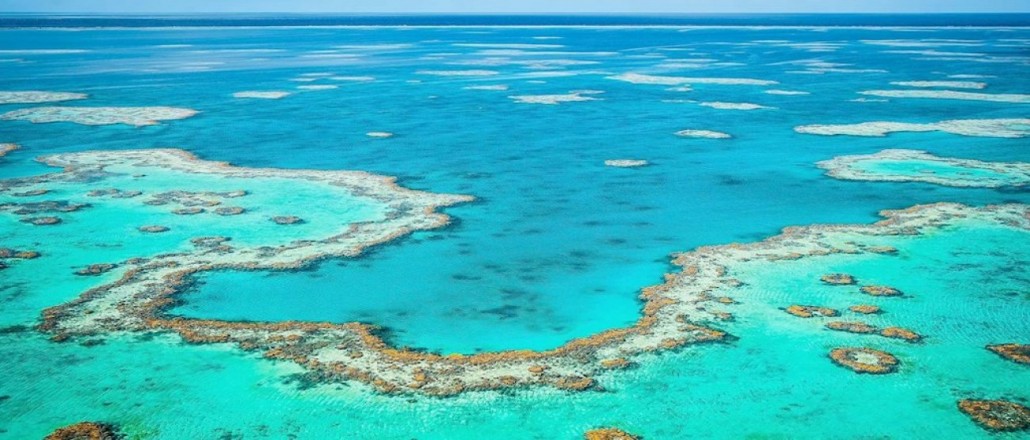 4.marea bariera de corali
