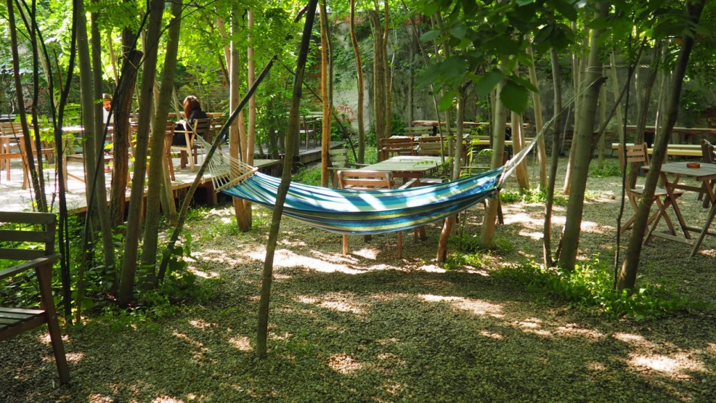 Gradina Eden 2