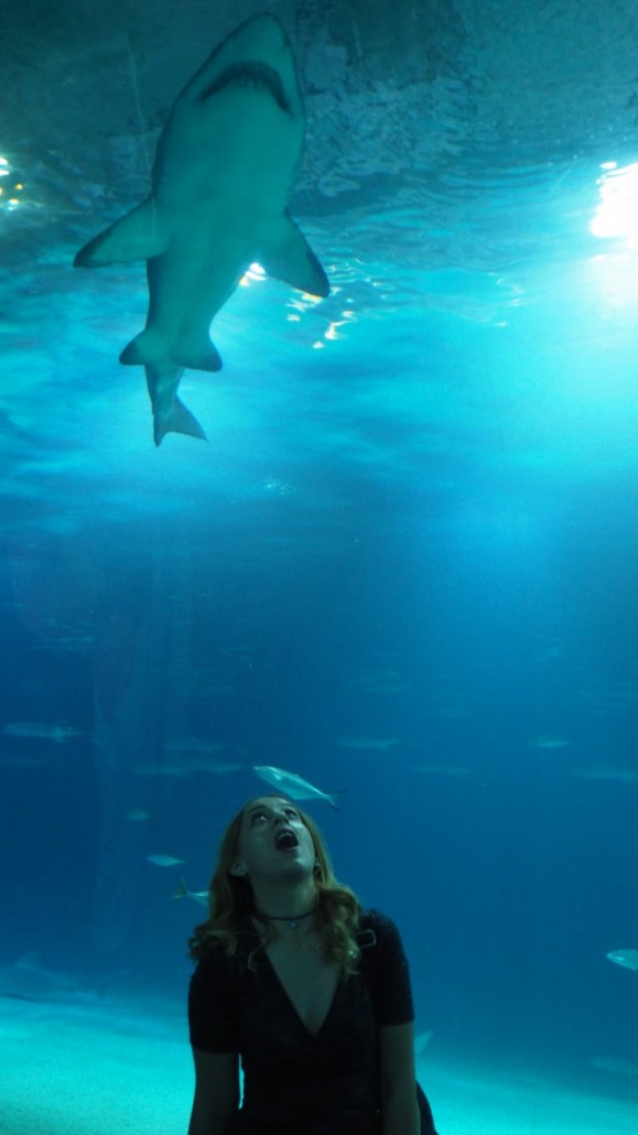 Oceanograf 19