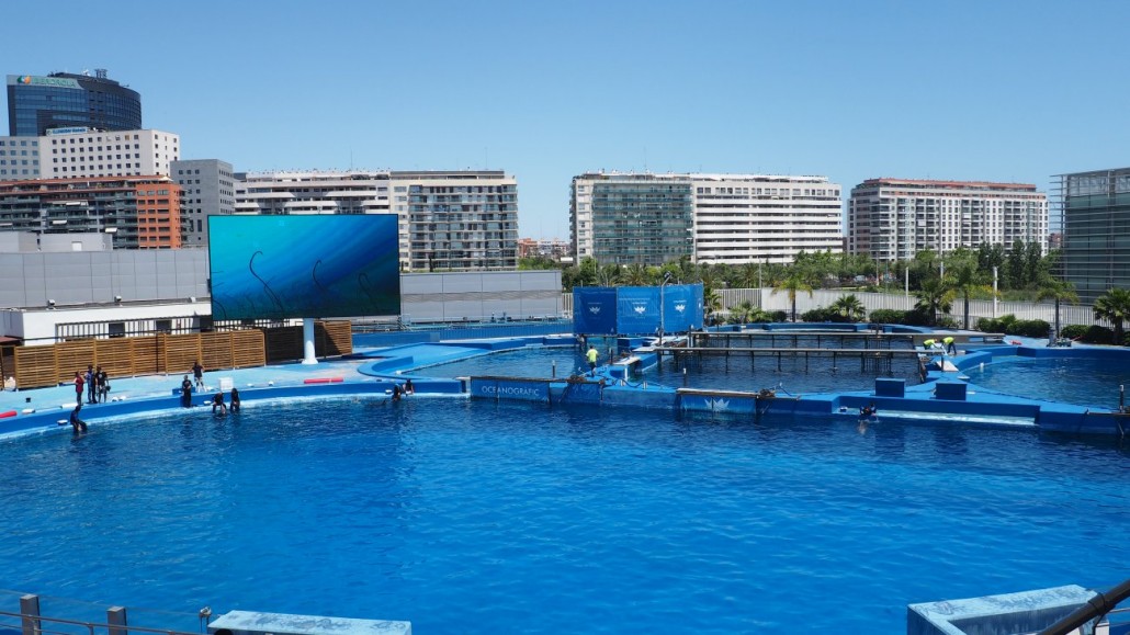 Oceanograf 6