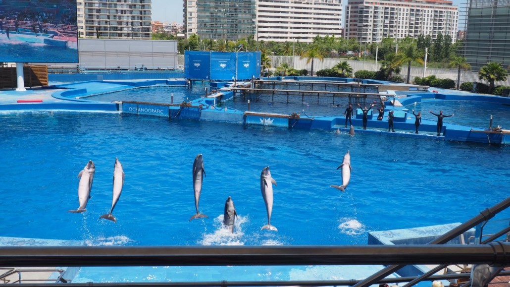 Oceanograf 7