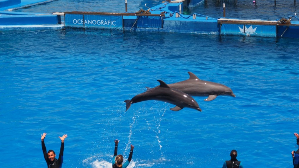 Oceanograf 9