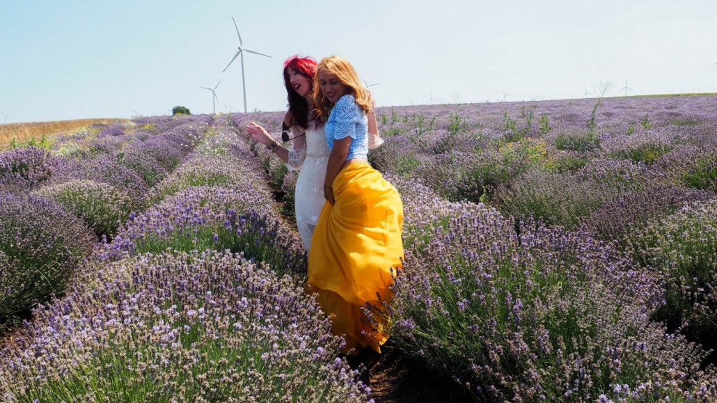 lavanda