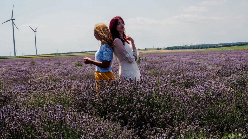 lavanda 2