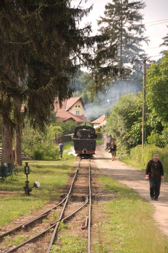 mocanita sovata