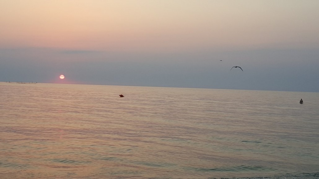 rasarit vama