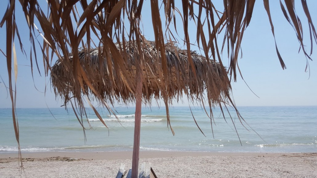 vama
