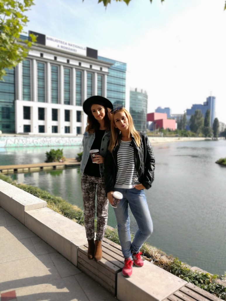 dambovita2