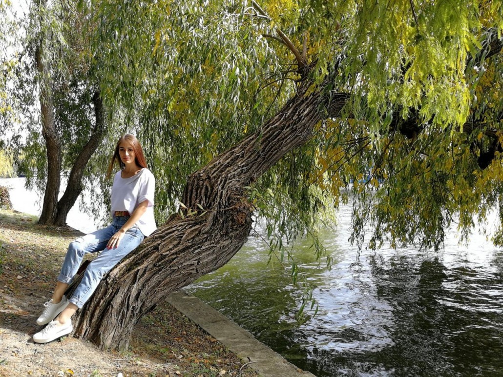 parc11