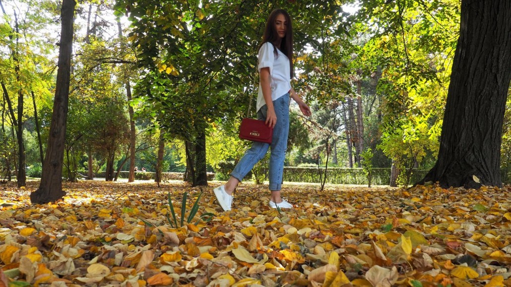 parc6