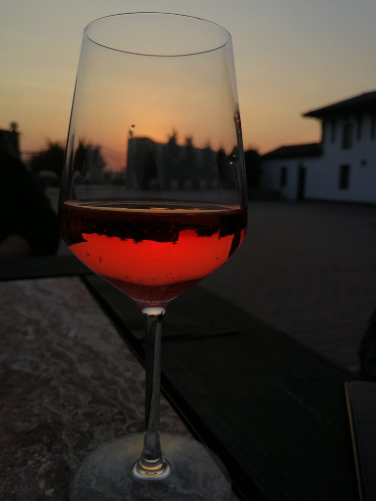 vin1