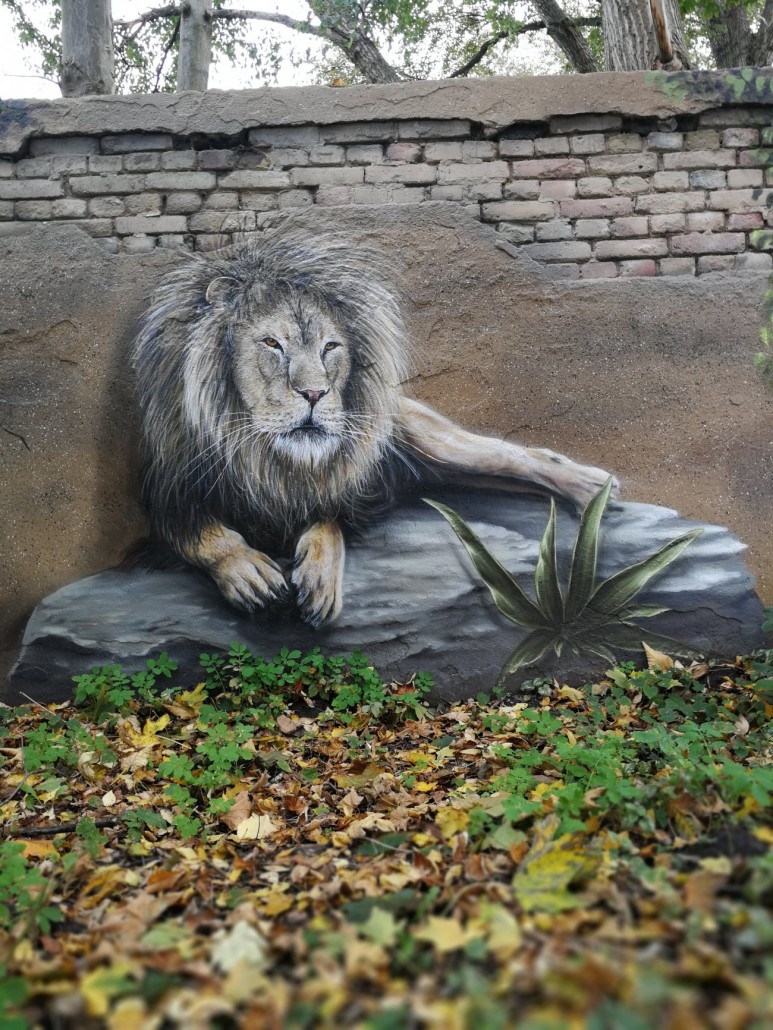 Zoo12