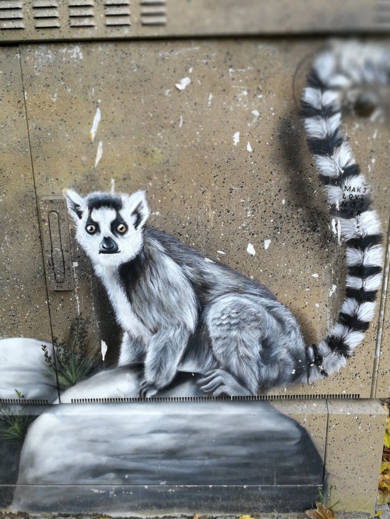 Zoo13