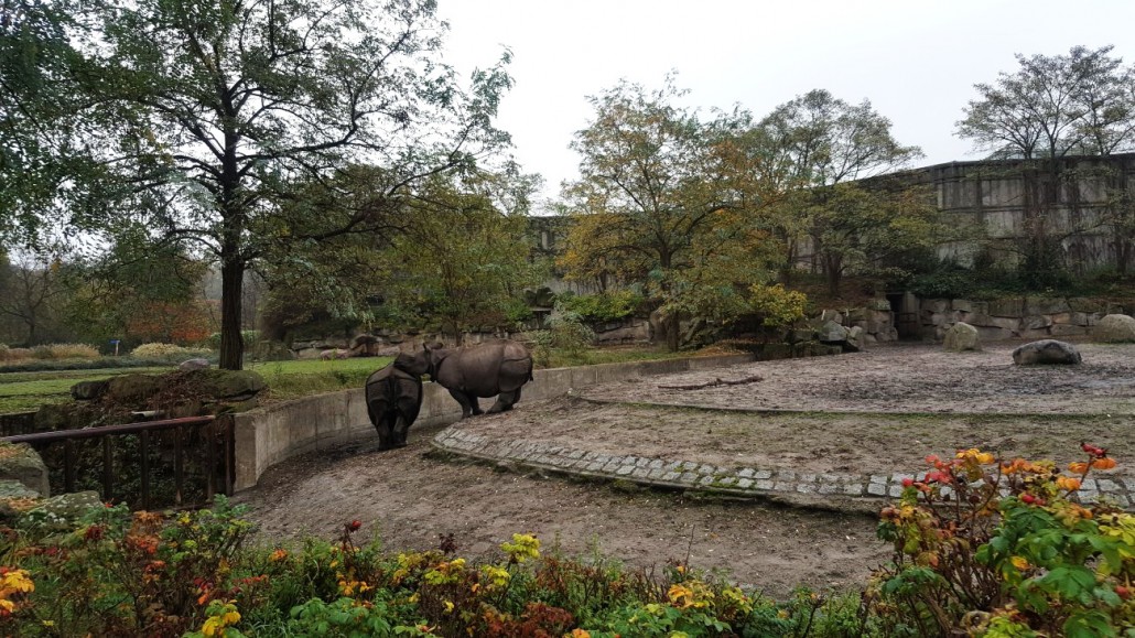 Zoo2