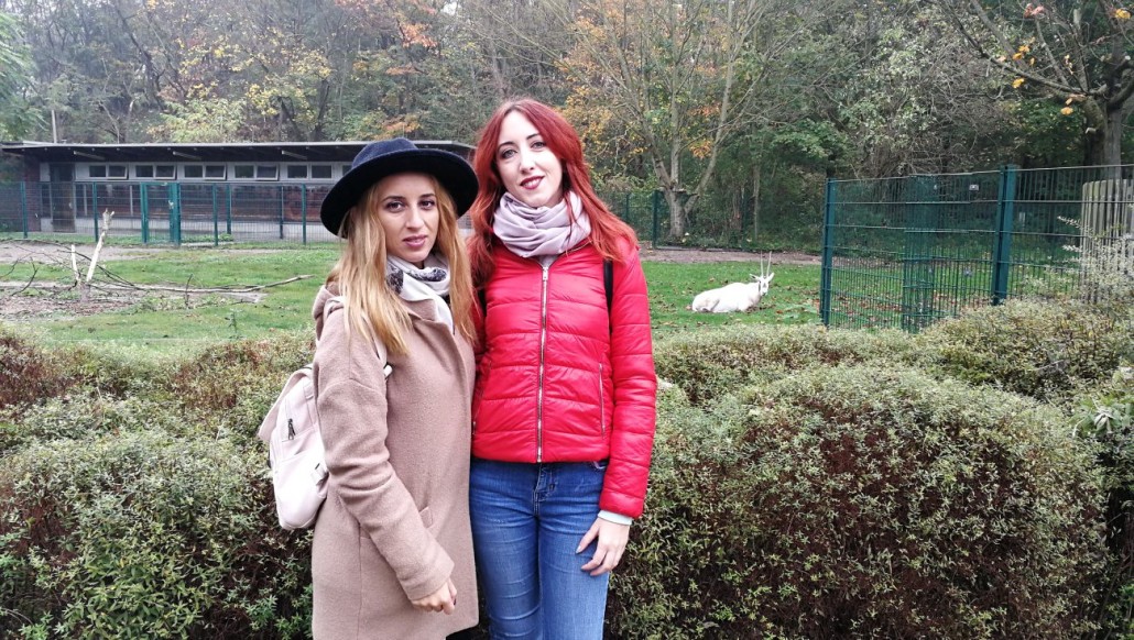 Zoo27