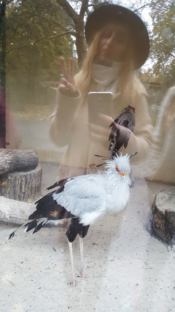 Zoo3