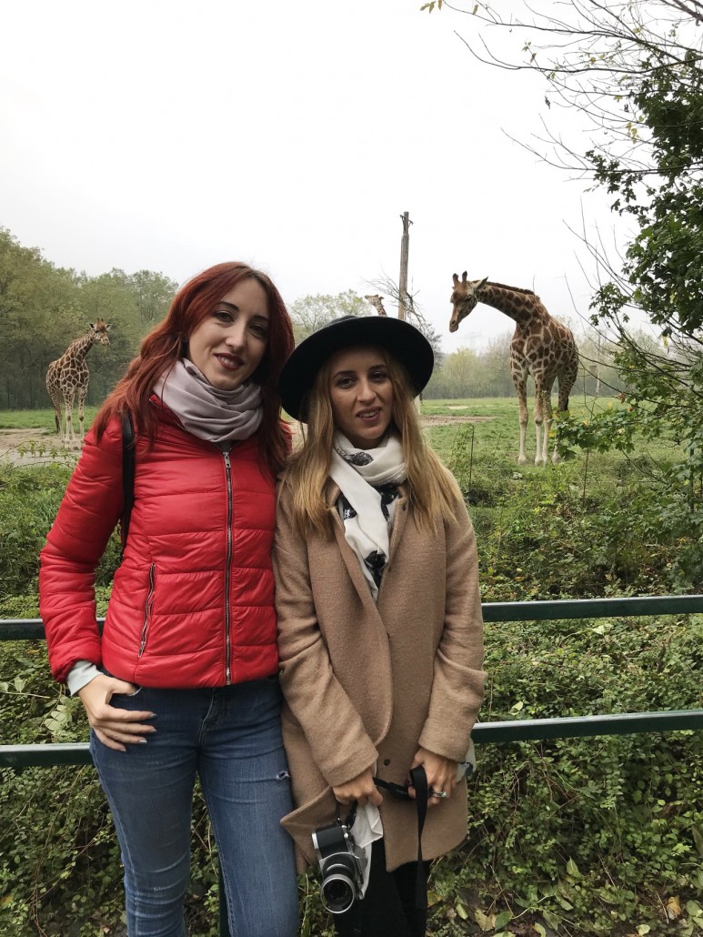 Zoo32
