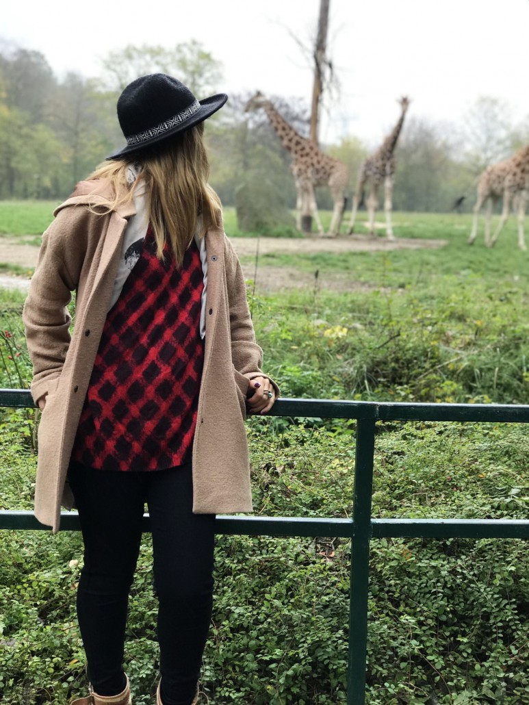Zoo36