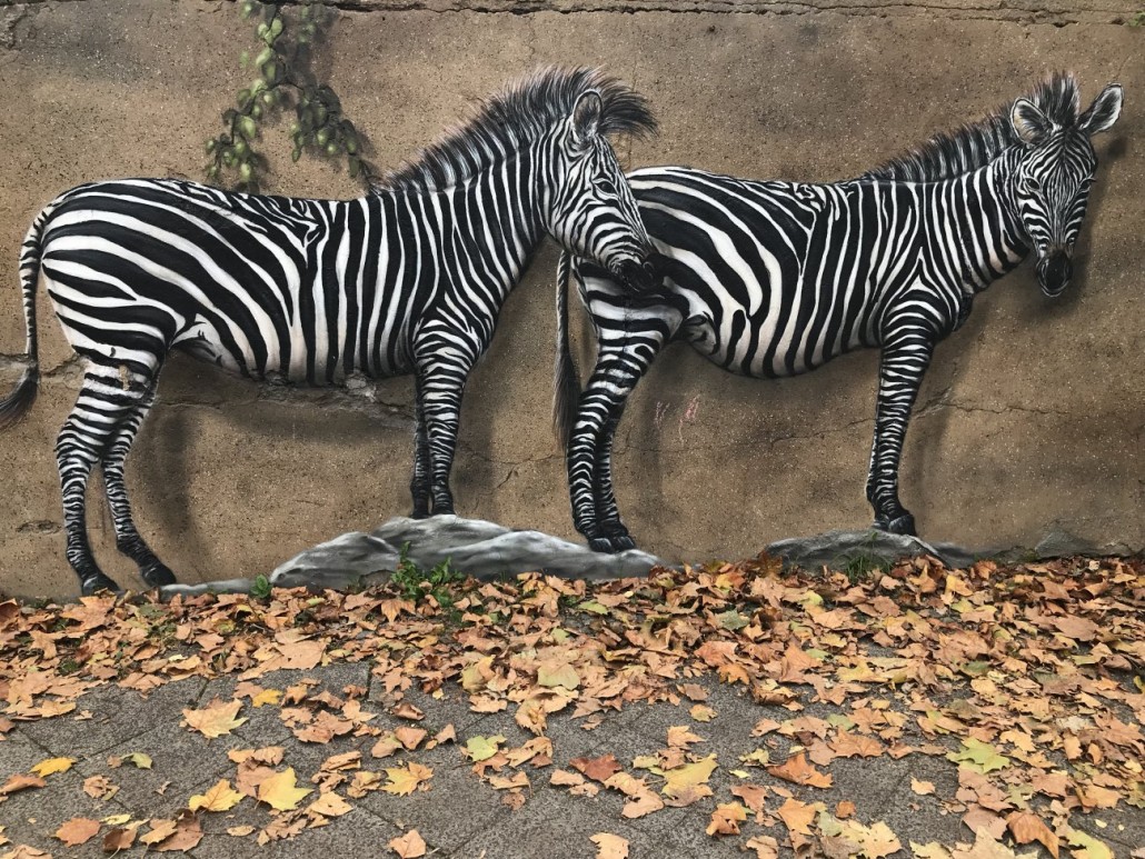 Zoo4