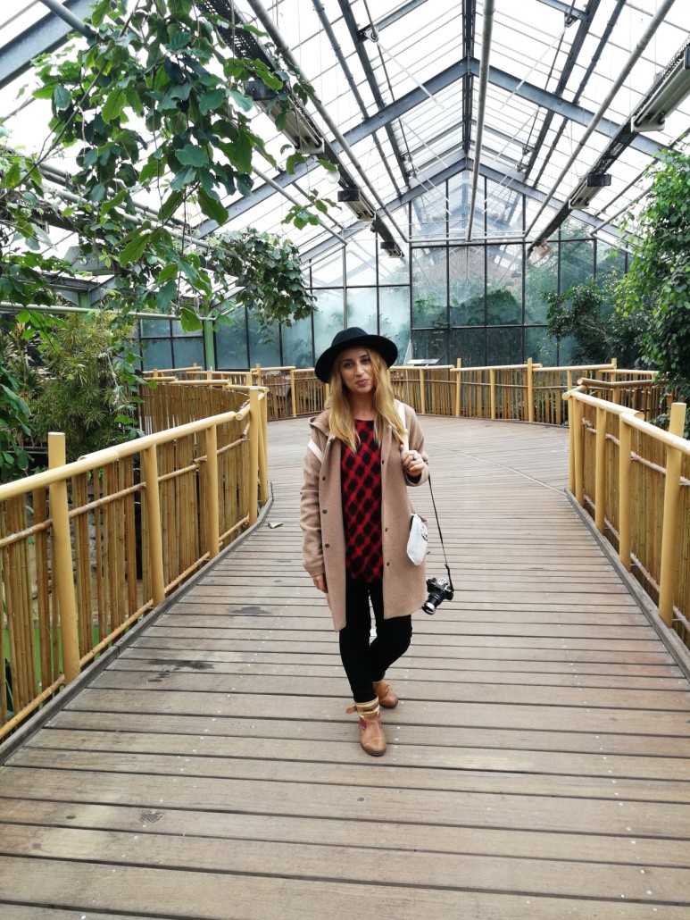 Zoo9