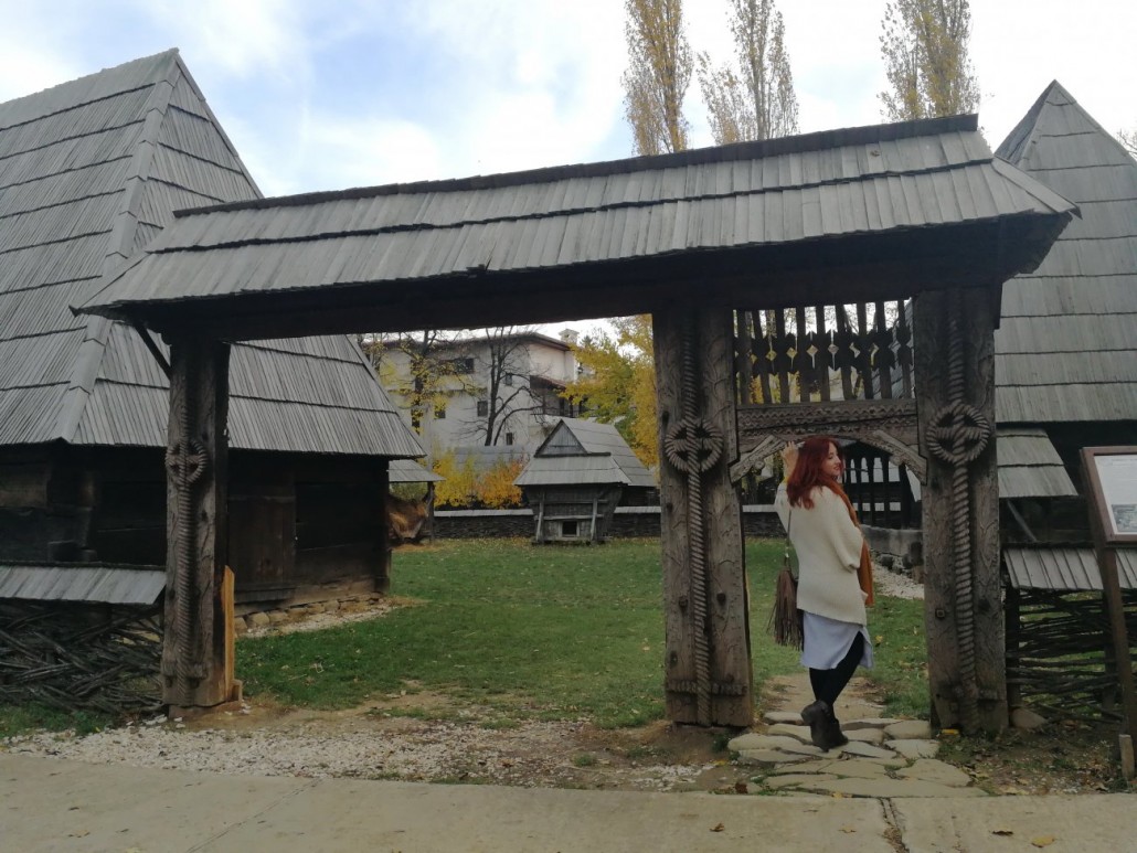 muzeul satului 10