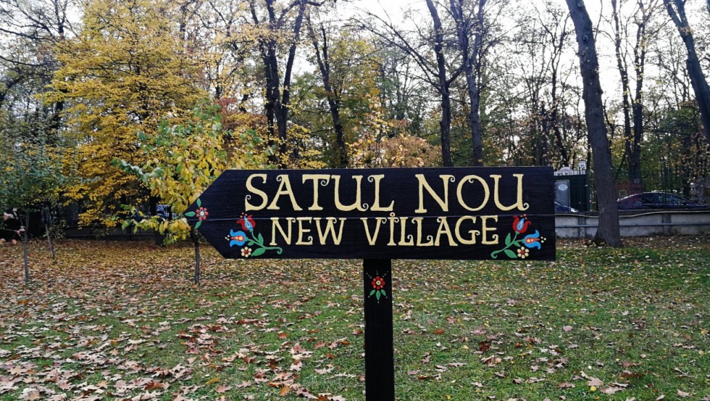muzeul satului 19