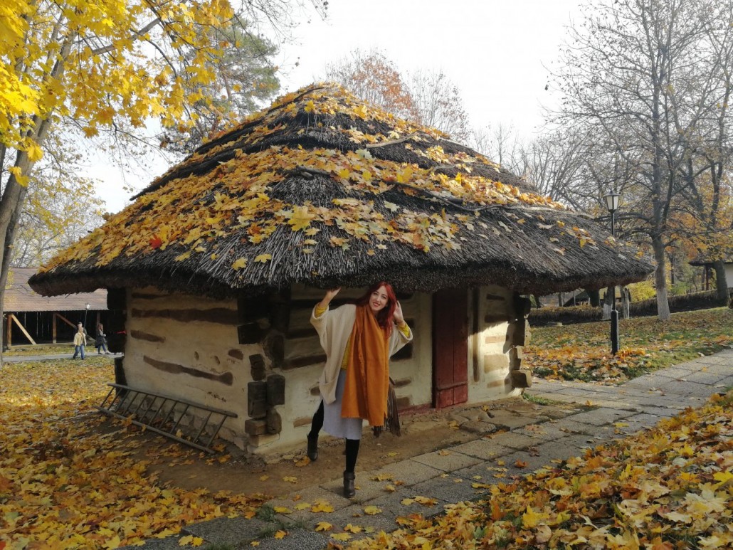 muzeul satului 3