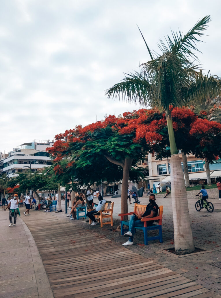 Tenerife