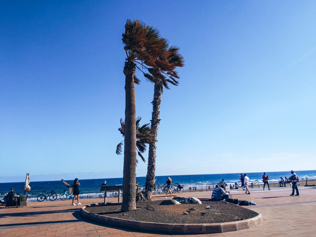plaje Gran Canaria